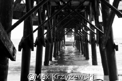 pier off of Catalina Island, CA by Max Krzyzewski 